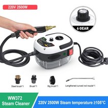 2500W 가정용 스팀 청소기 고온 살균 에어컨 주방 후드 자동차 스팀 청소기 110/220V 에어컨 주방 기름 때 청소, 중국, 하얀색, 미국 + 220V
