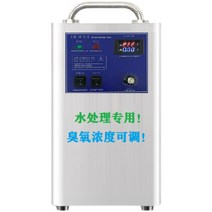 대형 공기청정 오존발생기 공장 농장 살균기 이온정화, 10그램