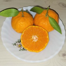 제주 탐라향 3kg 5kg 10kg 23년 2월제철 햇탐라향 산지직송 3키로 5키로 10키로 배송 택배 임산부 예비맘 과일 선물세트, 가정용 5kg (2S~L 사이즈)
