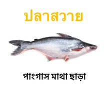 S.N. FOOD FROZEN PANGUSH CUT(냉동메기절단)빵가쉬 미얀마생선 1.5KG/1팩, 냉동제품 24시안으로 미개봉상태에 반품가능, 1.5KG