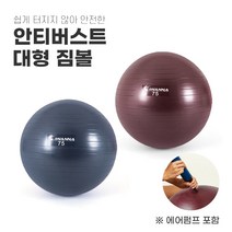 안티버스트 짐볼 요가용짐볼 필라테스볼 필라테스짐볼 짐볼운동 대형짐볼 75cm, 요가짐볼 75cm / 블루인디고