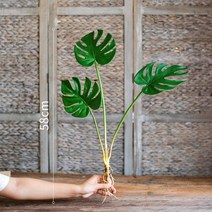 掬 han monstera 잎 시뮬레이션 꽃 녹색 식물 수경 상록 장식 장식품 INS 그물 빨간색 북유럽 신선한, 시뮬레이션 거북이 잎 58cm 세 잎