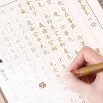반야심경 108부 필사경 모본 금사경 금강경 대자비경 초심자 붓 붓 불경 반야바라밀다, 일반 스크립트의 경전 사본, D