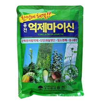억제마이신 500g 차인산칼슘 비료 웃자람 방지 도장 억제제