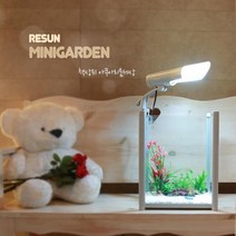 [스토어봄] 리선 미니가든 일체형어항 (커피)-구피어항 세트어항-미미네아쿠아[무료배송]