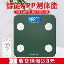 인바디기계 스마트 체중계 고정밀여성용 체중 감량 지방 측정기 다이어트용 휴대용 경량 가정용, USB 충전, 그린