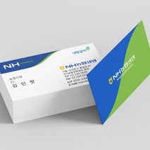 인팟 명함 명함제작 디자인무료 고급 소량 최다디자인, 100매, 시리오펄실버 양면