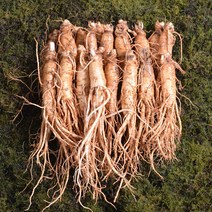 금산인삼 수삼 원수삼 대 무료세척 1채750g 10~13뿌리, 무료세척(약50g감량)