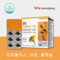 광동 프로폴리스 목 혓바늘 면역력 에 좋은 높이는 음식 영양제 약 2달 항산화 잇몸 염증, 1박스 + 1박스