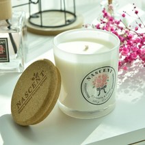 네이센트 아로마 7oz 소이캔들 리드캔들 라벤더 자스민캔들 방향제 향초, 05.면심지_시트로넬라&시트러스, 1개