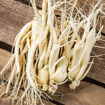 금산 인삼 350g 세척 수삼 인삼꽃주 삼계삼 난발삼 아카시아꿀 동강이 꿀절임 파삼 막삼 가정용삼 인삼차, 14_1I9F_세척동가리(중)300g