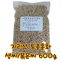토종홍화생씨 600g
