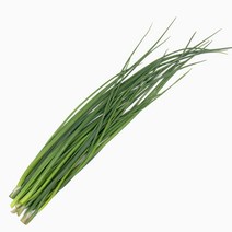 [논밭허브] 유기농 차이브 생잎 100g, 1개