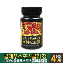콜레우스 포스콜리 콜리 우스 포스콜리 추출물 콜레오스 포스콜린 100% 가루 분말 정 알약 타입 타블렛 형 먹는법, 4통, 60정