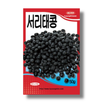 서리태콩 씨앗 종자30g 맛도좋고 영양가많은, 1개