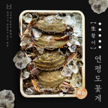 [선주직송] 국내산 서해안 연평도 꽃게 싱싱한 활숫꽃게, 1. 생숫꽃게 소 1kg(3-6미), 1개