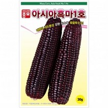 (옥수수종자씨앗) 흑마1호(30g)