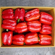 빨강 파프리카 1kg, 1개