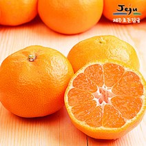 보섭이네푸드가락시장 직송 제주효돈감귤 5kg3740입내2L