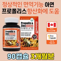 항산화 작용 프로폴리스 아연 영양제 추천 면역 강화제 실버 시니어 환절기 면역력에좋은 음식 폴리폴리스 플라보노이드 17mg 하루 권장량 propolis zinc 비 중년 건강 여성