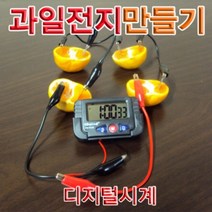 과일전지만들기 디지털시계(1인용)