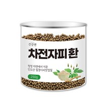 차전자피환 식이섬유 차전차피 질경이 씨앗 차전초 자전차피