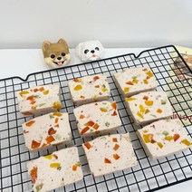 강아지 테린 강아지 화식 영양식 고양이 간식