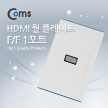 월 플레이트 HDMI 1포트 장착 판넬벽면플레이트, 1