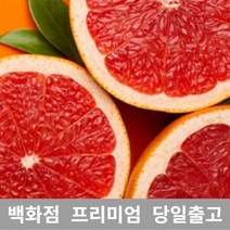 [특등급] 자몽7KG 자몽 자몽가격 자몽효능 자몽 자몽효능 자몽청만들기 메로골드자몽 자몽가격 수제청 레드자몽 과일청 자몽청 수제과일청 수제자몽청 과일 열, 7KG, 1개