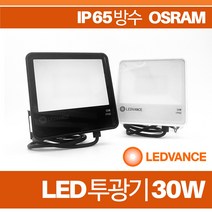 오스람 레드밴스 LED 투광기 30W 정품 IP 65 방수 간판등 야외조명, 블랙, 주광색(6500K)