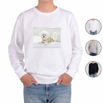 맨투맨 반려동물 ATO GATO 맞춤 강아지 1 실물, 130(어린이), 맨투맨화이트