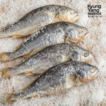 참굴비 특장대 12팩/총 36마리, 단일옵션