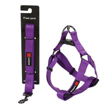 견생견사 소중대형견 A형 하네스, 블루