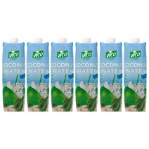 비코후레쉬 무첨가물 100% 코코넛워터 1000ml 6개