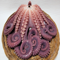 제일농수산 포항동해안 참문어자숙 3.5kg-4.5kg 제수용 피문어 이바지 답바지 대왕문어 명절선물, 3.5kg