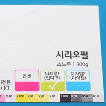 맞춤명함제작 명함제작 고급명함 디자인무료, 다_수입지 시리어펄스노우 단면 200장