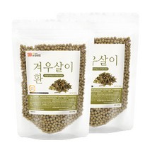 [갑당약초] 겨우살이환 1200g(600gX2) 겨우살이차 상기생, 2개, 단품