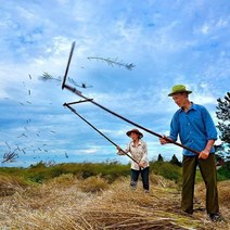 도리깨 도리깨질 도리깨침 철도리깨 깨 콩 타작기 깨망 농기구, A