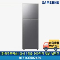 [전국무료배송] 삼성 1등급 300리터 일반 냉장고 RT31CG5024S9