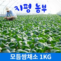 [모둠쌈채소] 약수농장 모듬쌈채소 2kg, 1박스