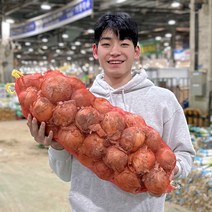 2022년 국내산 후니팜 최상품 햇양파 3kg 5kg 10kg, 대10kg, 1개