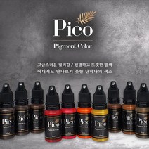 피코 Pico 반영구화장 색소 15ml 22종 머신 엠보 수지 겸용색소, 1개, 오렌지