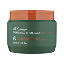 ATS 퍼스티지 카미시 올인원 헤어 마스크 500ml