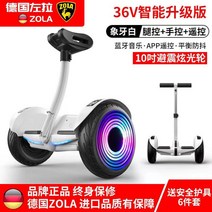 전동휠 두발전동휠 투휠 셀프밸런스 이륜 오프로드 평행차 전동킥보드, 36V, 스마트앱  트리플 라이트 휠  6