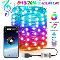 5M/10M/20M 스마트 RGB 요정 문자열 빛 APP 블루투스 제어 방수 USB 구리 와이어 조명 16 색 새해 장식, CHINA, 2pcs + 10M 100LEDs