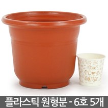 플라스틱 둥근 화분 7호 5개 - 플분 원형 중형화분 둥근화분 인테리어화분 실내화분 거실화분 베란다화분 매장화분, 01_성진_원형화분(6호) X 5개