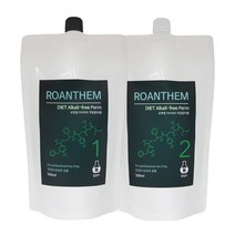 다다 로앤썸 다이어트 무알칼리 펌제 1 2제 각 500ml, 건강-손상겸용
