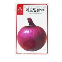 SN월드 뿌리채소 씨앗 무 당근 양파 알타리무 비트 콜라비 과일무, 적양파
