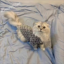 애견 프린트 셔츠 소형견의류 봄여름 쉐나리 테디베어 박미 강아지 고양이 셔츠