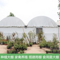 조립식 비닐온실 농업용뽁뽁이 농막 비닐하우스 자재 짓기 미니 시설하우스 뽁뽁이비닐하우스 제작 농업용비닐, 20미터 폭 1미터 길이 (몇미터 길이로 몇장 찍으셔야, 수입 방지 흑백필름 16S
